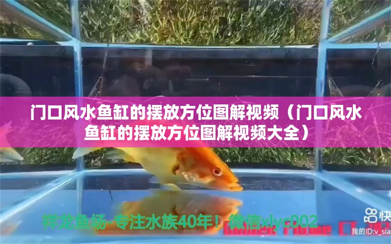 门口风水鱼缸的摆放方位图解视频（门口风水鱼缸的摆放方位图解视频大全）