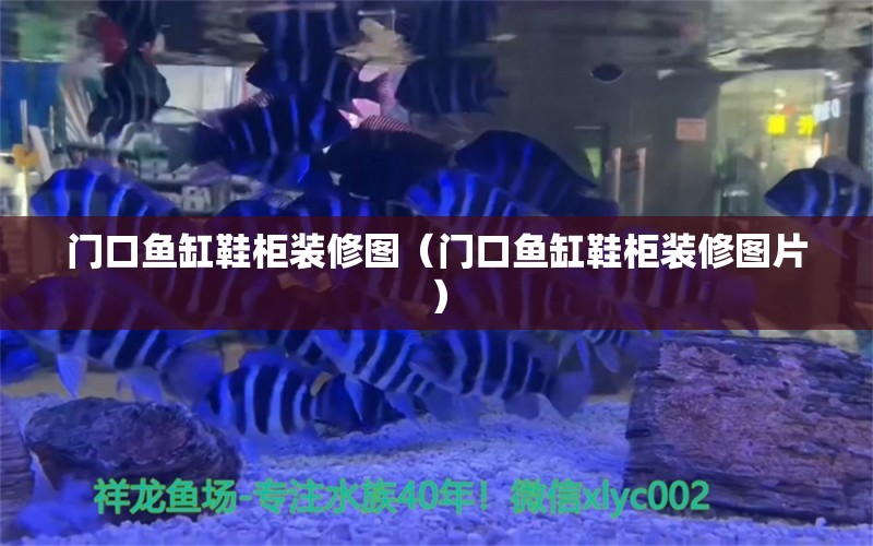 门口鱼缸鞋柜装修图（门口鱼缸鞋柜装修图片）