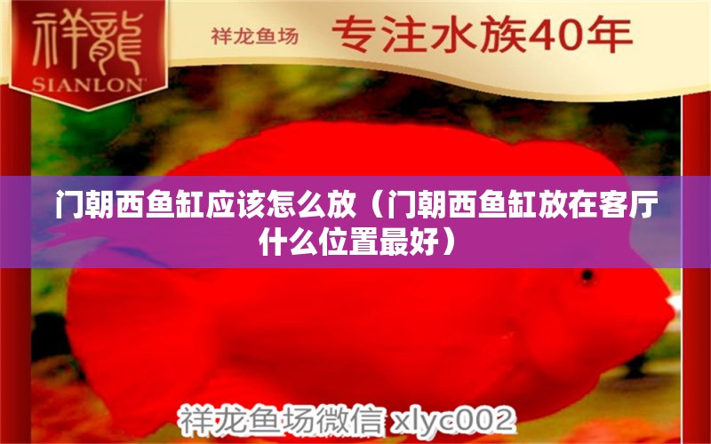 门朝西鱼缸应该怎么放（门朝西鱼缸放在客厅什么位置最好） 鱼缸水泵