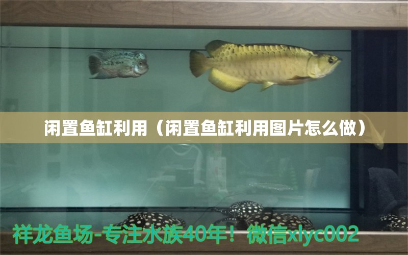 闲置鱼缸利用（闲置鱼缸利用图片怎么做） 祥龙水族医院