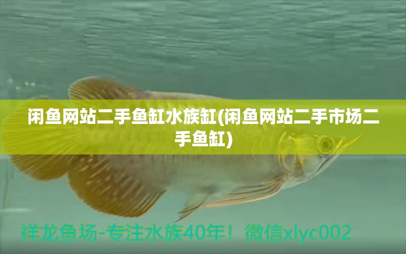 闲鱼网站二手鱼缸水族缸(闲鱼网站二手市场二手鱼缸)