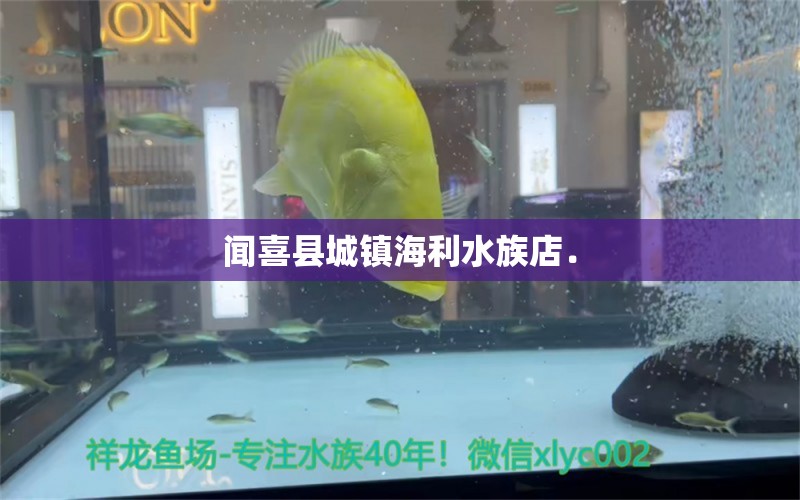 闻喜县城镇海利水族店．