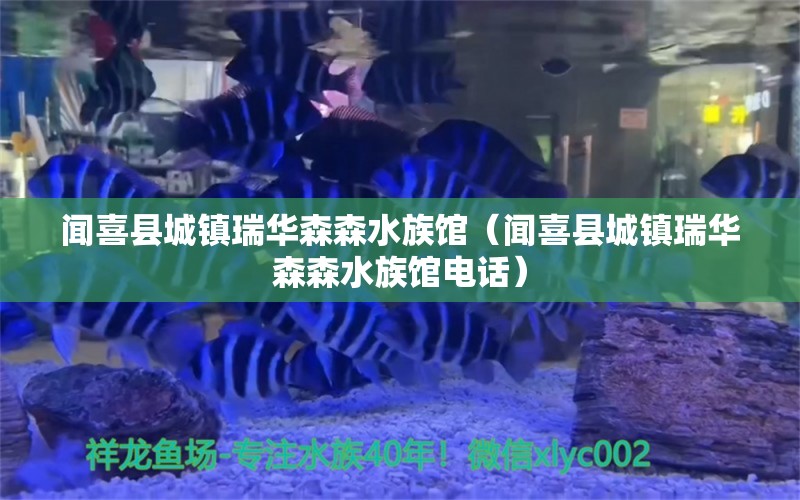 闻喜县城镇瑞华森森水族馆（闻喜县城镇瑞华森森水族馆电话） 全国水族馆企业名录