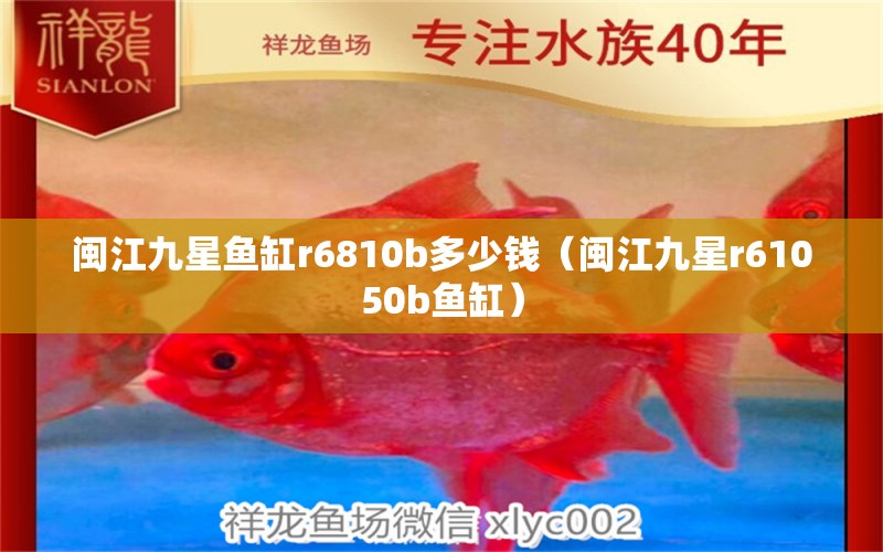 闽江九星鱼缸r6810b多少钱（闽江九星r61050b鱼缸） 祥龙鱼场