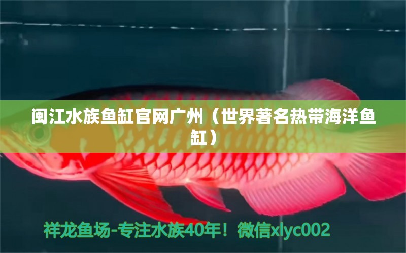 闽江水族鱼缸官网广州（世界著名热带海洋鱼缸） 定时器/自控系统 第1张