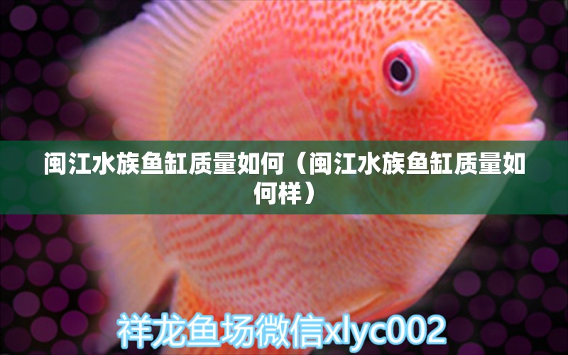 闽江水族鱼缸质量如何（闽江水族鱼缸质量如何样）