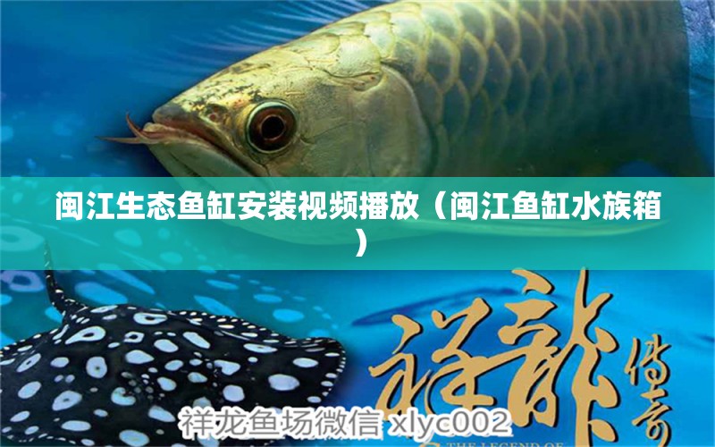 闽江生态鱼缸安装视频播放（闽江鱼缸水族箱）