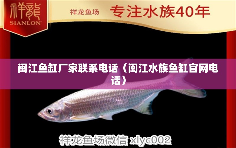 闽江鱼缸厂家联系电话（闽江水族鱼缸官网电话） 广州观赏鱼批发市场