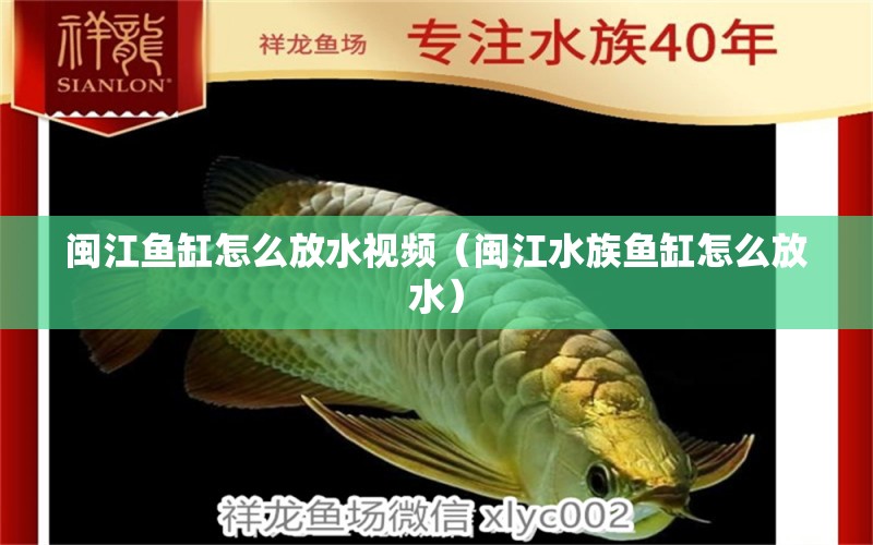 闽江鱼缸怎么放水视频（闽江水族鱼缸怎么放水） 杰西卡恐龙鱼