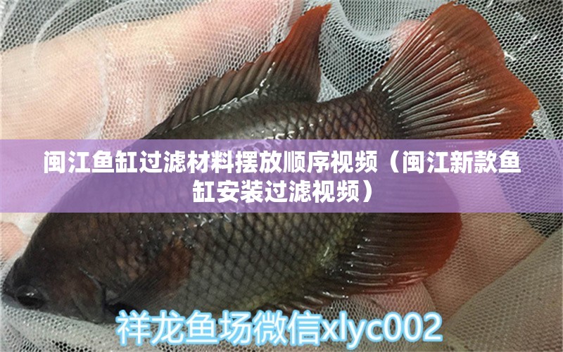 闽江鱼缸过滤材料摆放顺序视频（闽江新款鱼缸安装过滤视频） 鱼缸等水族设备