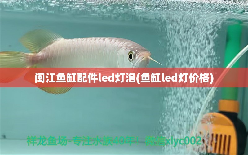 闽江鱼缸配件led灯泡(鱼缸led灯价格)