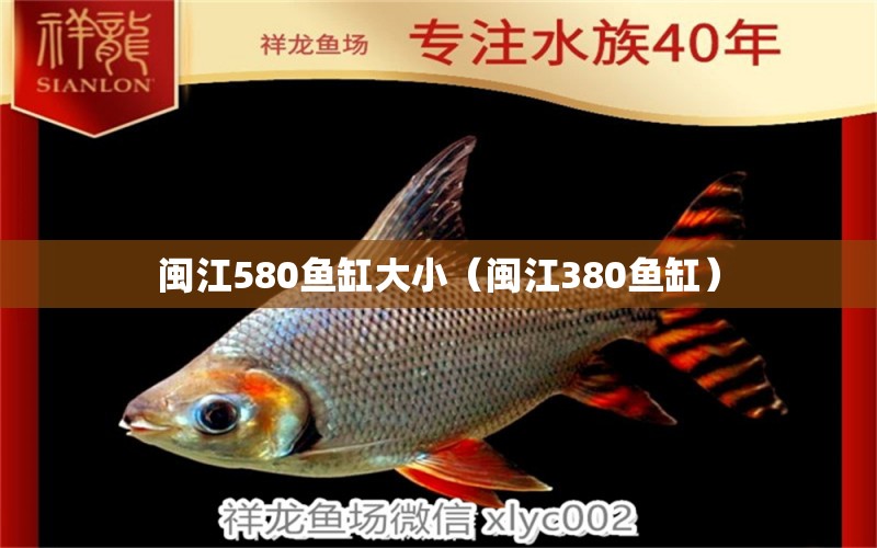 闽江580鱼缸大小（闽江380鱼缸） 祥龙鱼场