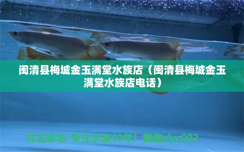 闽清县梅城金玉满堂水族店（闽清县梅城金玉满堂水族店电话）