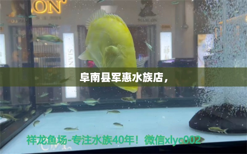 阜南县军惠水族店， 全国水族馆企业名录 第2张