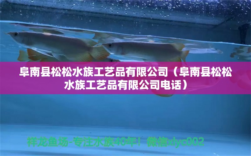 阜南县松松水族工艺品有限公司（阜南县松松水族工艺品有限公司电话）