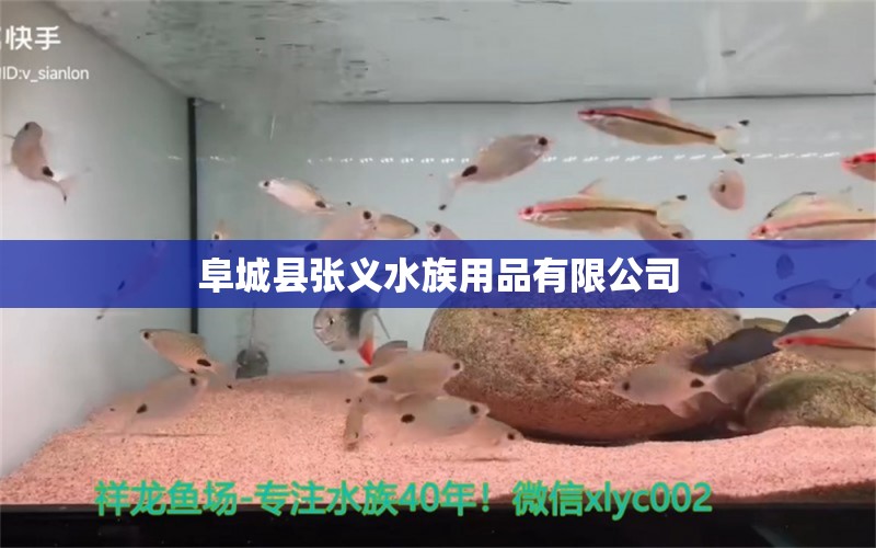 阜城县张义水族用品有限公司