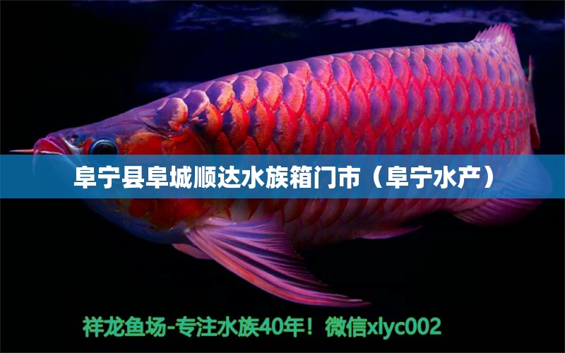 阜宁县阜城顺达水族箱门市（阜宁水产）