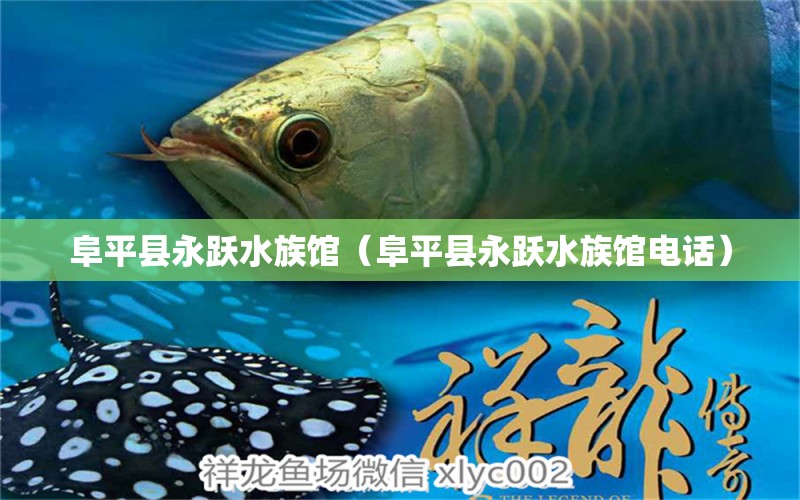 阜平县永跃水族馆（阜平县永跃水族馆电话）