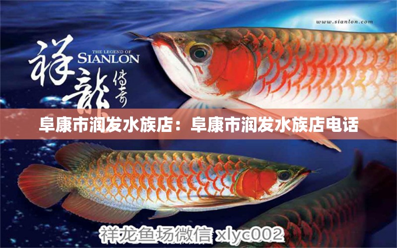 阜康市润发水族店：阜康市润发水族店电话