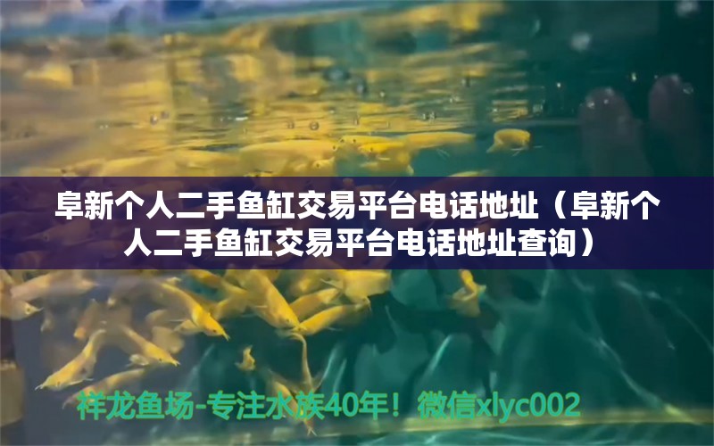 阜新个人二手鱼缸交易平台电话地址（阜新个人二手鱼缸交易平台电话地址查询） 祥龙水族医院