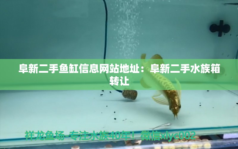 阜新二手鱼缸信息网站地址：阜新二手水族箱转让 鱼缸/水族箱 第3张