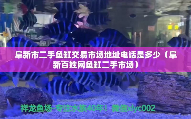 阜新市二手鱼缸交易市场地址电话是多少（阜新百姓网鱼缸二手市场）