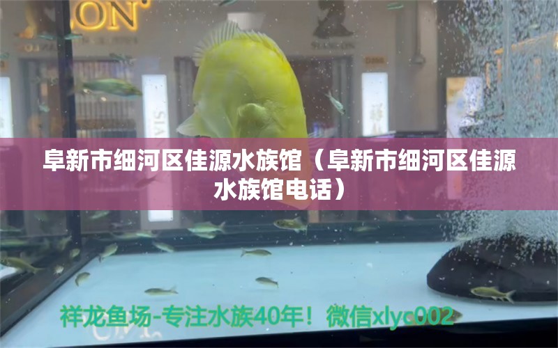 阜新市细河区佳源水族馆（阜新市细河区佳源水族馆电话） 全国水族馆企业名录