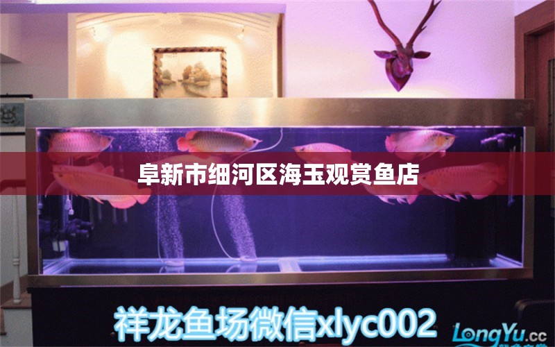 阜新市细河区海玉观赏鱼店 全国水族馆企业名录