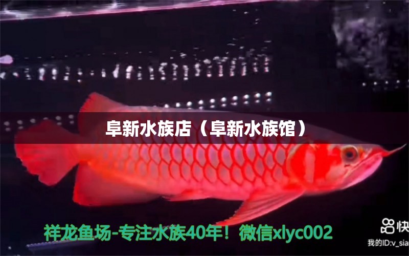 阜新水族店（阜新水族馆）