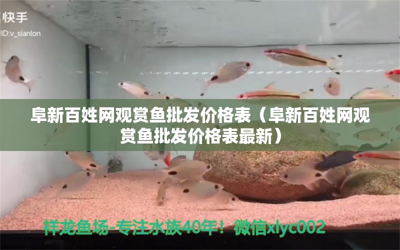 阜新百姓网观赏鱼批发价格表（阜新百姓网观赏鱼批发价格表最新） 观赏鱼批发