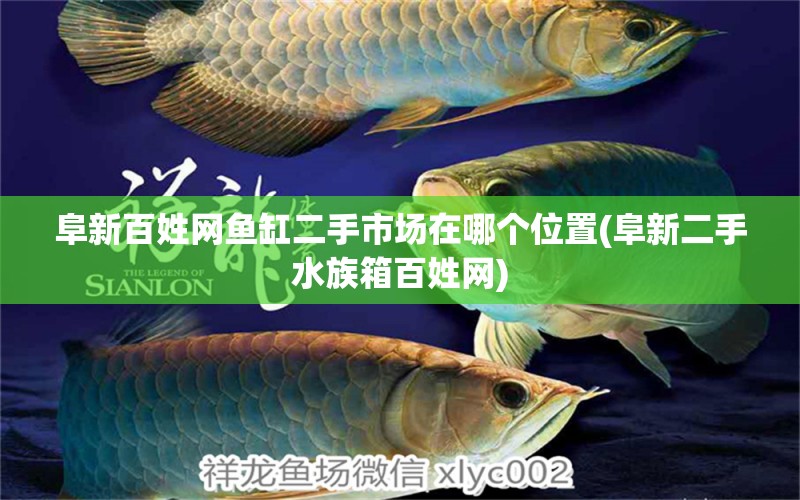 阜新百姓网鱼缸二手市场在哪个位置(阜新二手水族箱百姓网) 鱼缸/水族箱