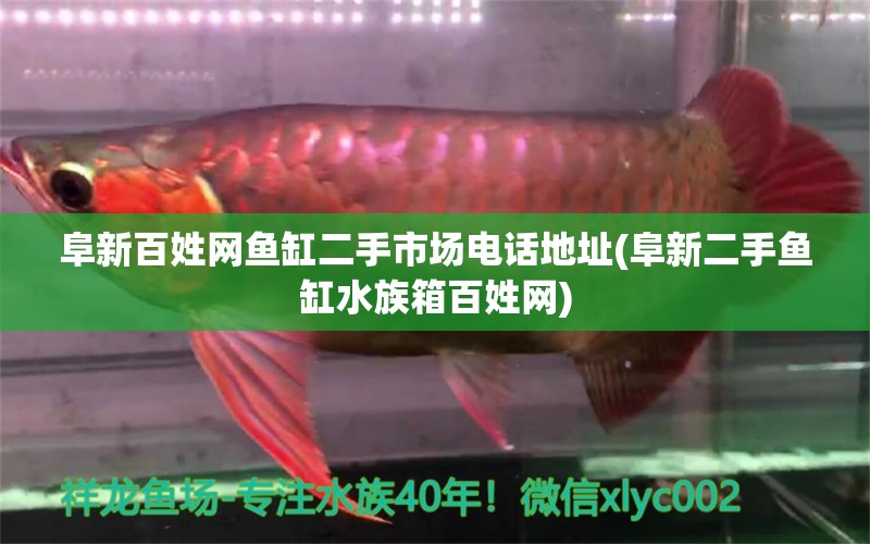 阜新百姓网鱼缸二手市场电话地址(阜新二手鱼缸水族箱百姓网) 鱼缸/水族箱