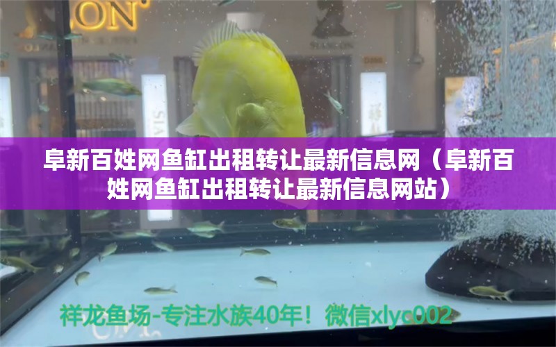 阜新百姓网鱼缸出租转让最新信息网（阜新百姓网鱼缸出租转让最新信息网站）