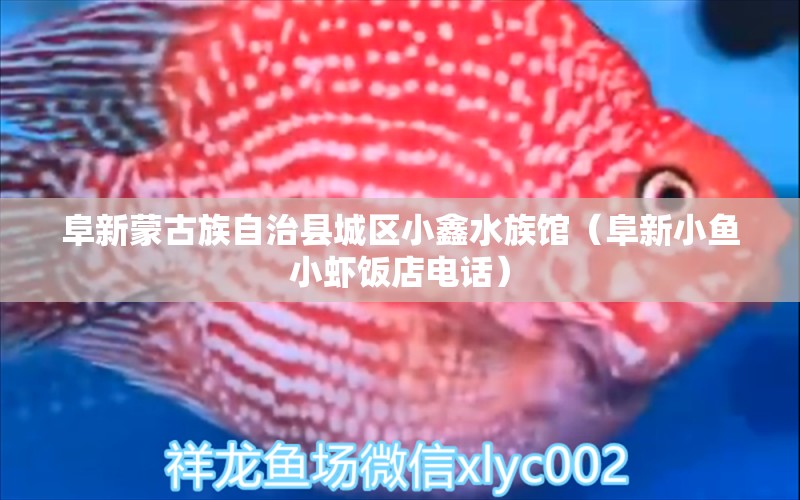 阜新蒙古族自治县城区小鑫水族馆（阜新小鱼小虾饭店电话）