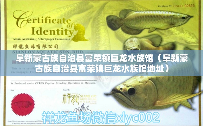 阜新蒙古族自治县富荣镇巨龙水族馆（阜新蒙古族自治县富荣镇巨龙水族馆地址）