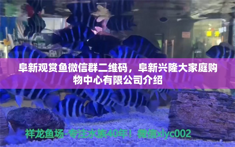 阜新观赏鱼微信群二维码，阜新兴隆大家庭购物中心有限公司介绍 养鱼的好处 第2张