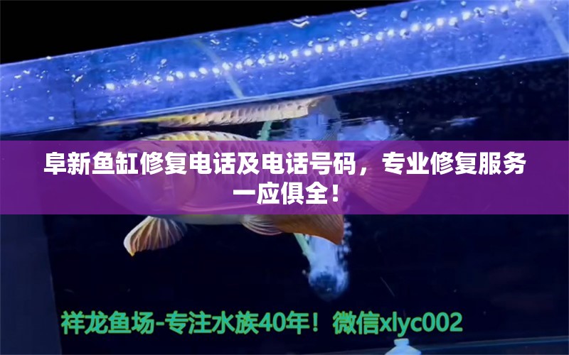 阜新鱼缸修复电话及电话号码，专业修复服务一应俱全！ 皇冠黑白魟鱼 第1张