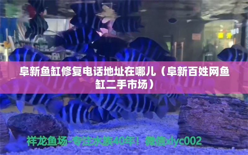 阜新鱼缸修复电话地址在哪儿（阜新百姓网鱼缸二手市场） 水温计