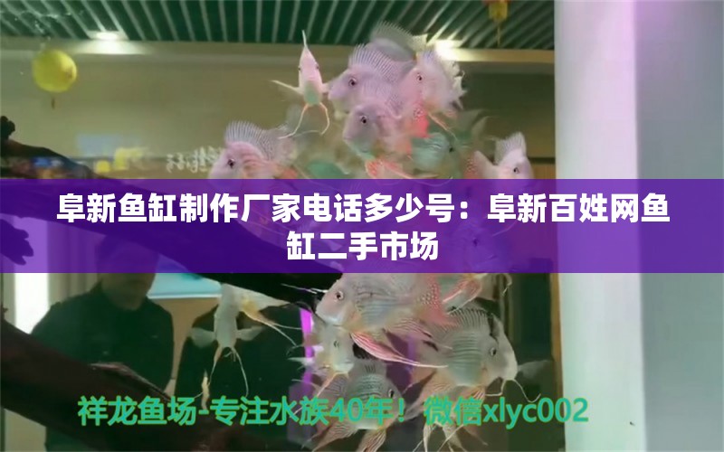 阜新鱼缸制作厂家电话多少号：阜新百姓网鱼缸二手市场 广州水族批发市场 第2张