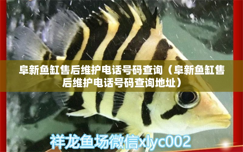 阜新鱼缸售后维护电话号码查询（阜新鱼缸售后维护电话号码查询地址）