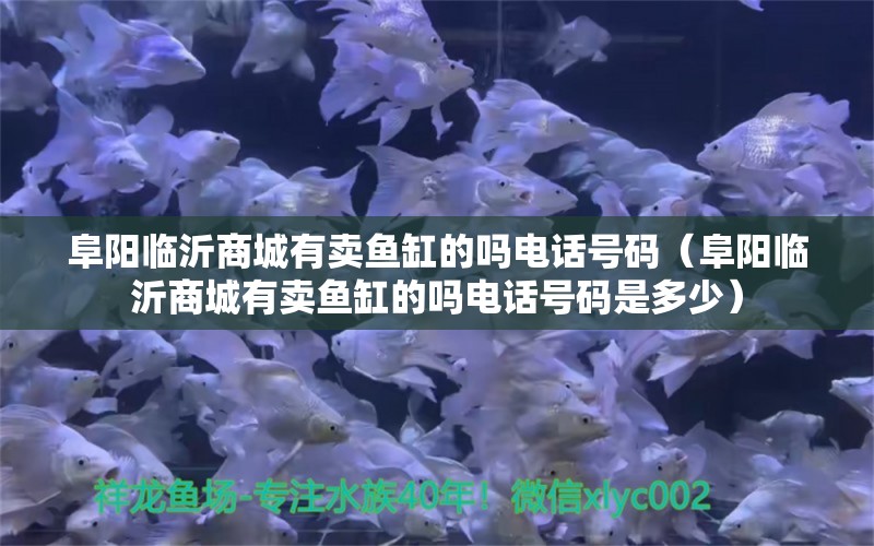 阜阳临沂商城有卖鱼缸的吗电话号码（阜阳临沂商城有卖鱼缸的吗电话号码是多少）