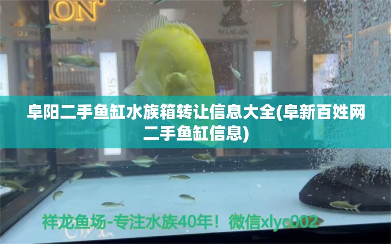 阜阳二手鱼缸水族箱转让信息大全(阜新百姓网二手鱼缸信息)