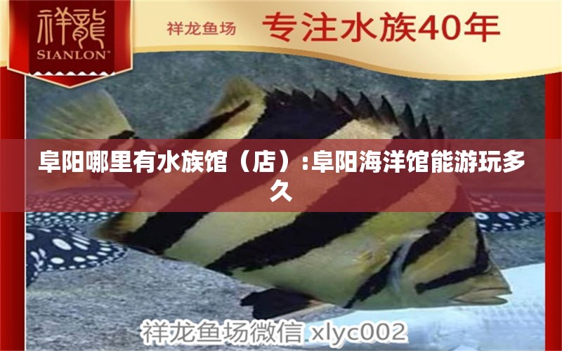 阜阳哪里有水族馆（店）:阜阳海洋馆能游玩多久