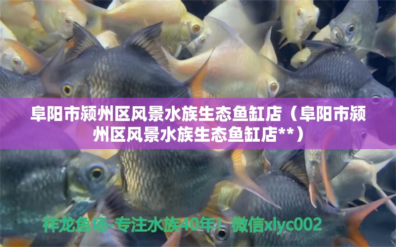 阜阳市颍州区风景水族生态鱼缸店（阜阳市颍州区风景水族生态鱼缸店**） 全国水族馆企业名录