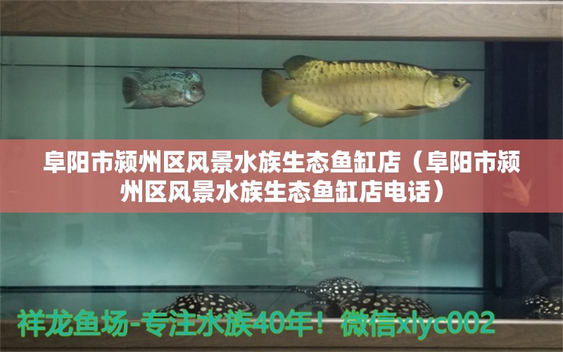 阜阳市颍州区风景水族生态鱼缸店（阜阳市颍州区风景水族生态鱼缸店电话）