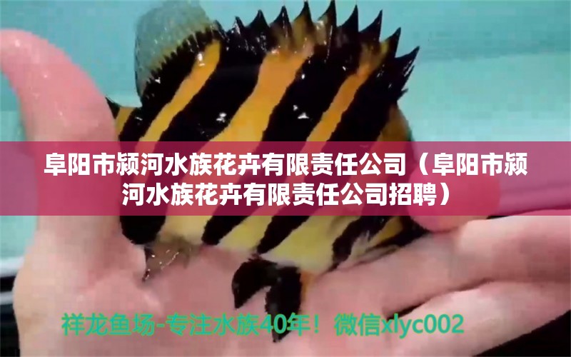 阜阳市颍河水族花卉有限责任公司（阜阳市颍河水族花卉有限责任公司招聘） 全国水族馆企业名录