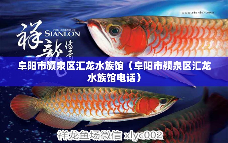 阜阳市颍泉区汇龙水族馆（阜阳市颍泉区汇龙水族馆电话）