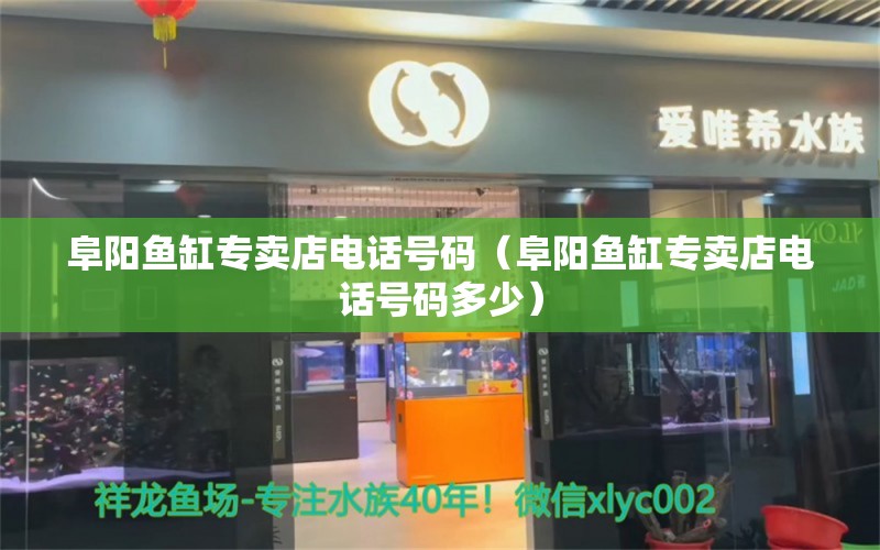 阜阳鱼缸专卖店电话号码（阜阳鱼缸专卖店电话号码多少）