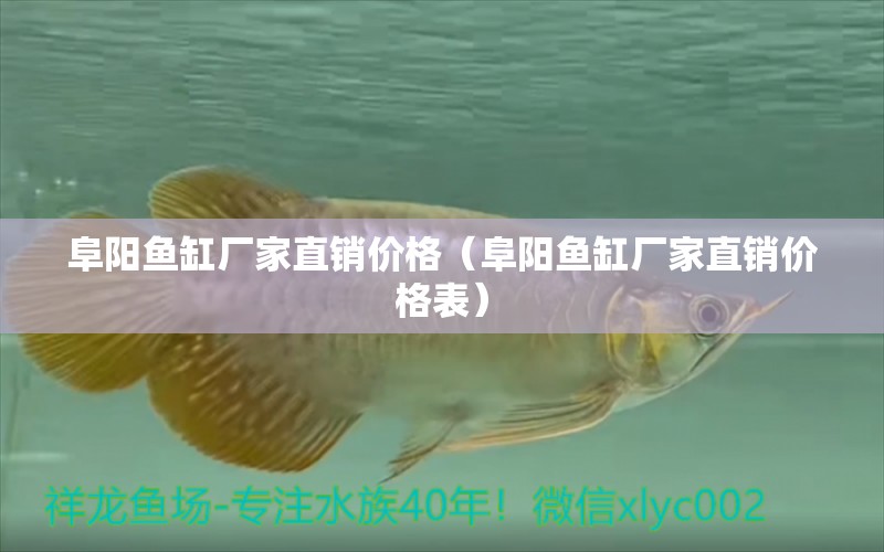 阜阳鱼缸厂家直销价格（阜阳鱼缸厂家直销价格表） 祥龙水族医院