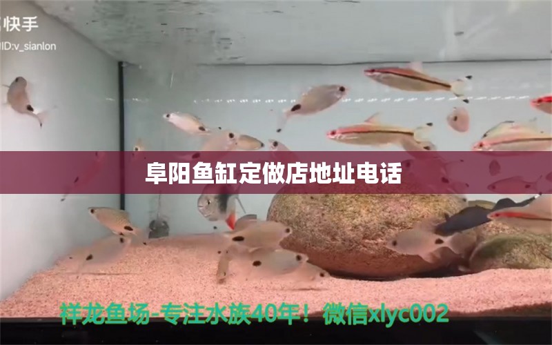 阜阳鱼缸定做店地址电话  水族灯（鱼缸灯）